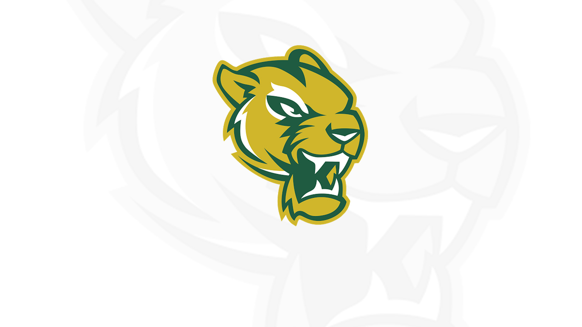 Panthers Valiant Fight Comes Up Short